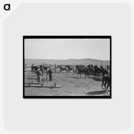 アートポストカード-Texas Ranch
 - ラッセル リー Postcard.