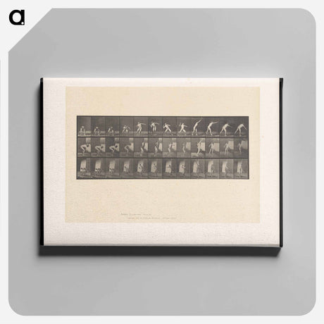 アートパネル-The Throw
 - エドワード マイブリッジ Canvas.