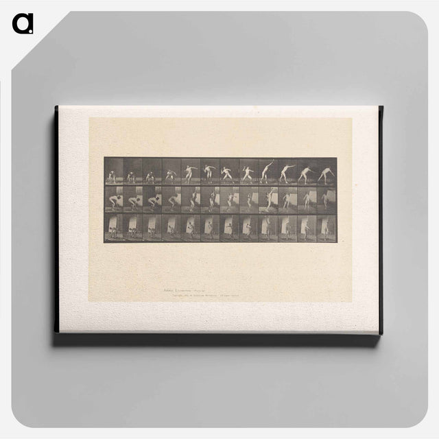 アートパネル-The Throw
 - エドワード マイブリッジ Canvas.