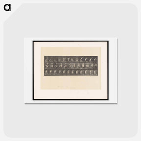アートポストカード-The Throw
 - エドワード マイブリッジ Postcard.