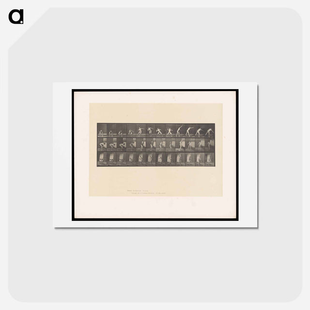 アートポストカード-The Throw
 - エドワード マイブリッジ Postcard.