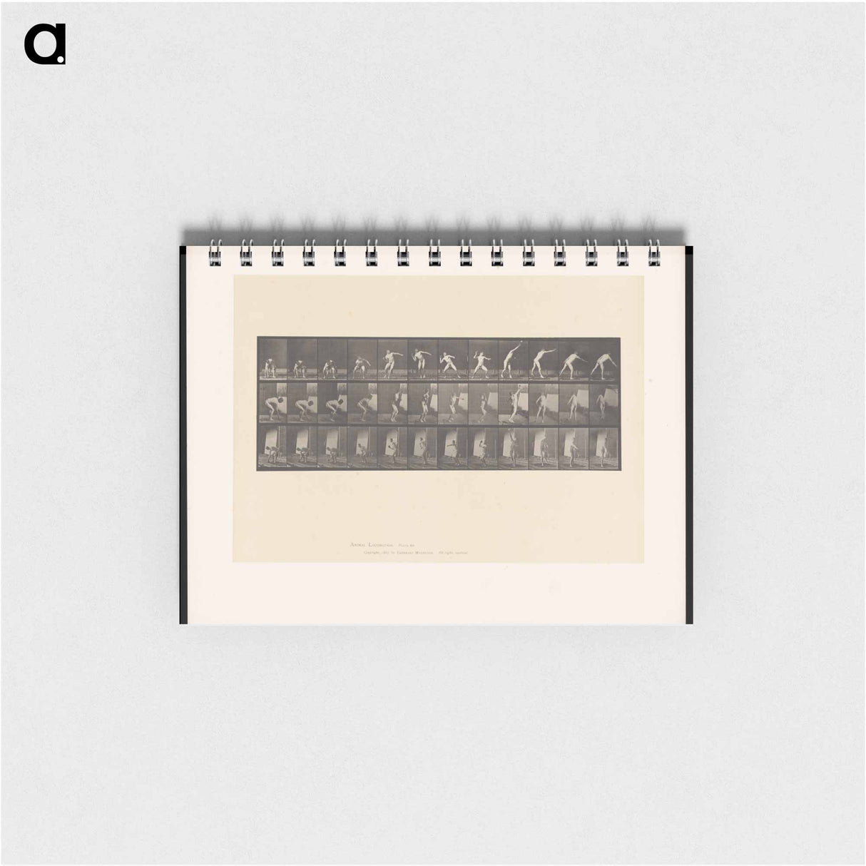 アートメモ帳-The Throw
 - エドワード マイブリッジ Memo.