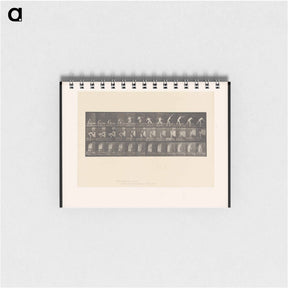 アートメモ帳-The Throw
 - エドワード マイブリッジ Memo.