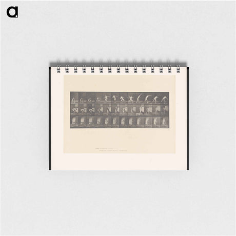 アートメモ帳-The Throw
 - エドワード マイブリッジ Memo.