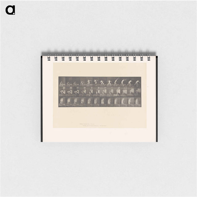 アートメモ帳-The Throw
 - エドワード マイブリッジ Memo.