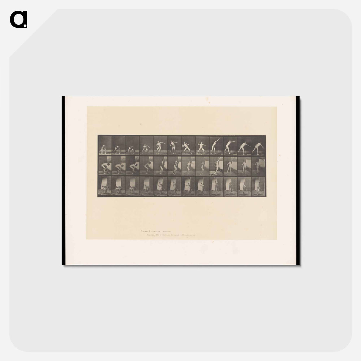 アートポストカード-The Throw
 - エドワード マイブリッジ Postcard.