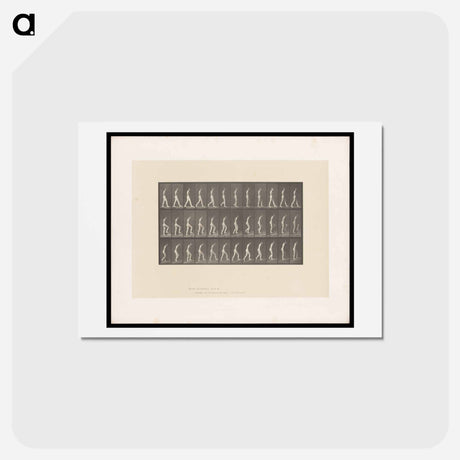 アートポストカード-Naked Woman Ascending
 - エドワード マイブリッジ Postcard.