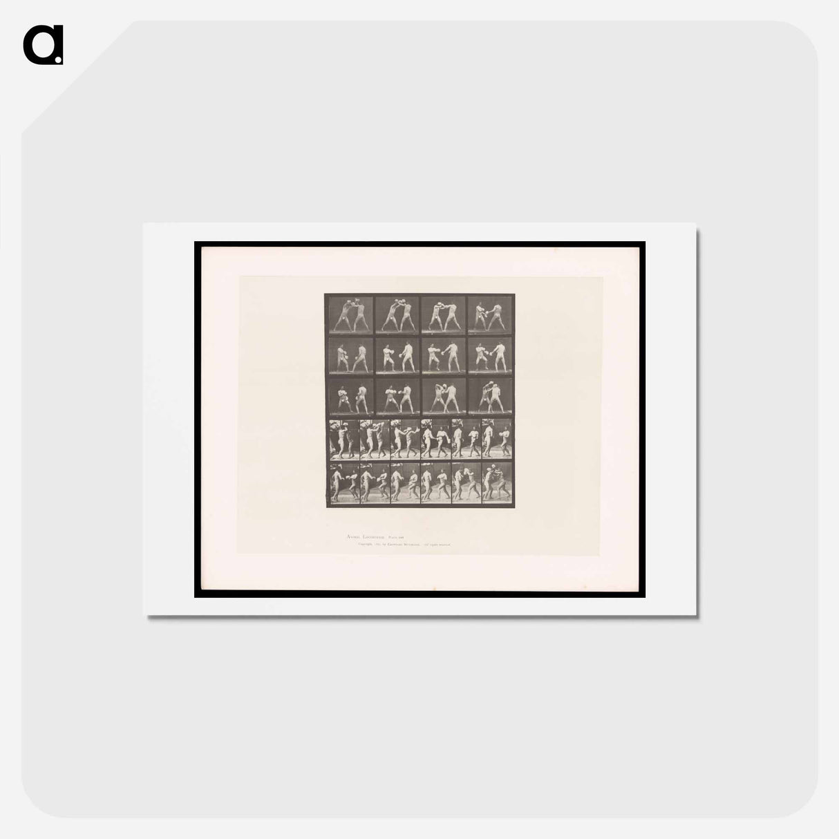 アートポストカード-Boxing Match
 - エドワード マイブリッジ Postcard.