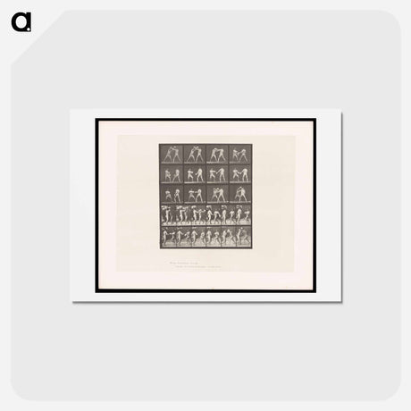 アートポストカード-Boxing Match
 - エドワード マイブリッジ Postcard.