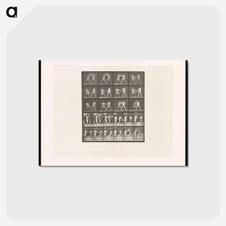 アートポストカード-Boxing Match
 - エドワード マイブリッジ Postcard.