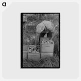 アートポストカード-Pear Picker, Hood River
 - ラッセル リー Postcard.