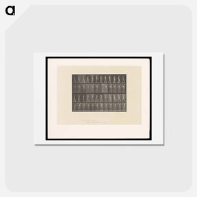 アートポストカード-Walking Man
 - エドワード マイブリッジ Postcard.
