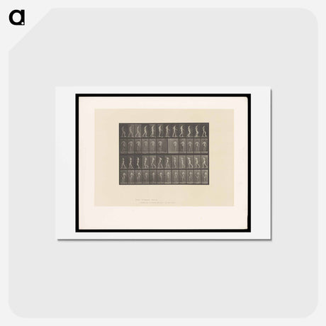 アートポストカード-Walking Man
 - エドワード マイブリッジ Postcard.