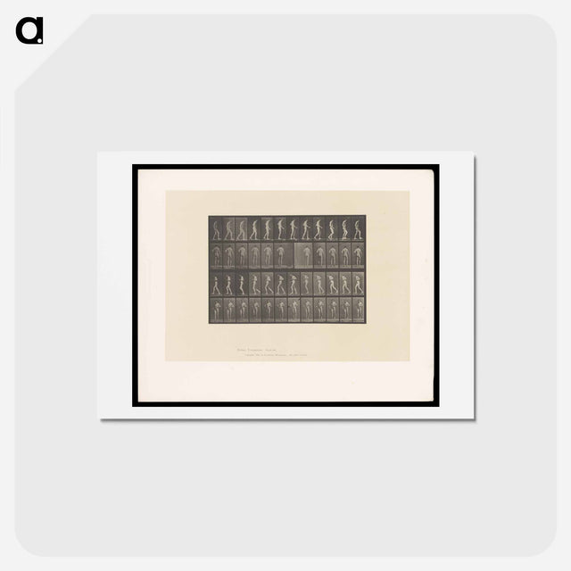 アートポストカード-Walking Man
 - エドワード マイブリッジ Postcard.