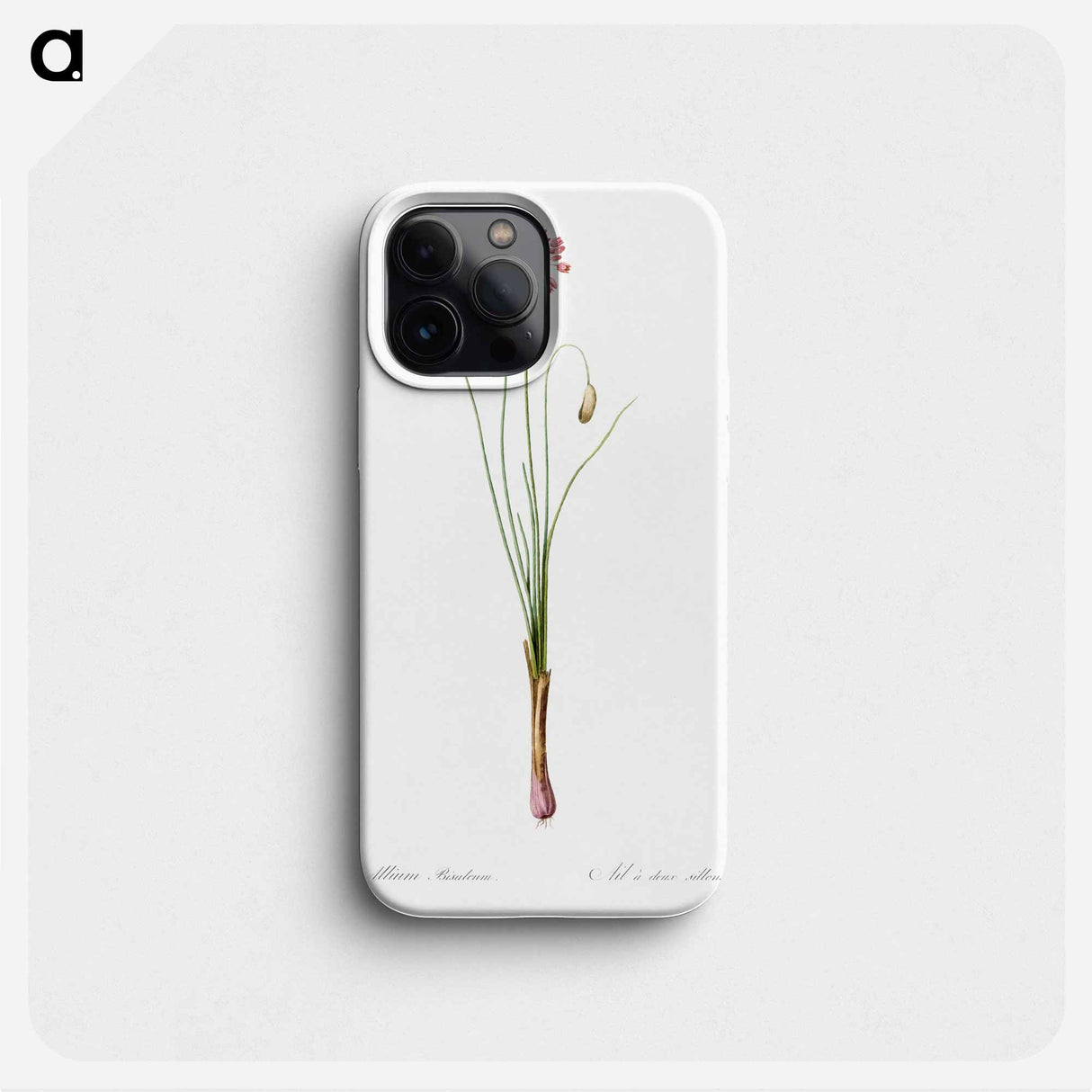 Autumn onion illustration - ピエール ジョゼフ ルドゥーテ Phone Case.