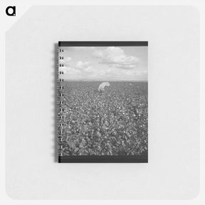 アートメモ帳-Untitled photo - ドロテア ラング Memo.