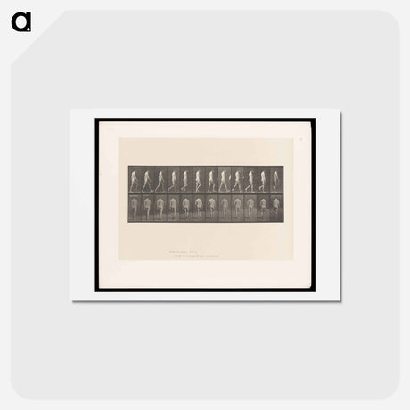 アートポストカード-Epileptic Man Walking
 - エドワード マイブリッジ Postcard.