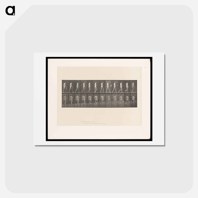アートポストカード-Epileptic Man Walking
 - エドワード マイブリッジ Postcard.