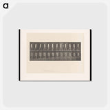 アートポストカード-Epileptic Man Walking
 - エドワード マイブリッジ Postcard.
