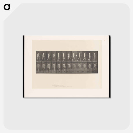 アートポストカード-Epileptic Man Walking
 - エドワード マイブリッジ Postcard.