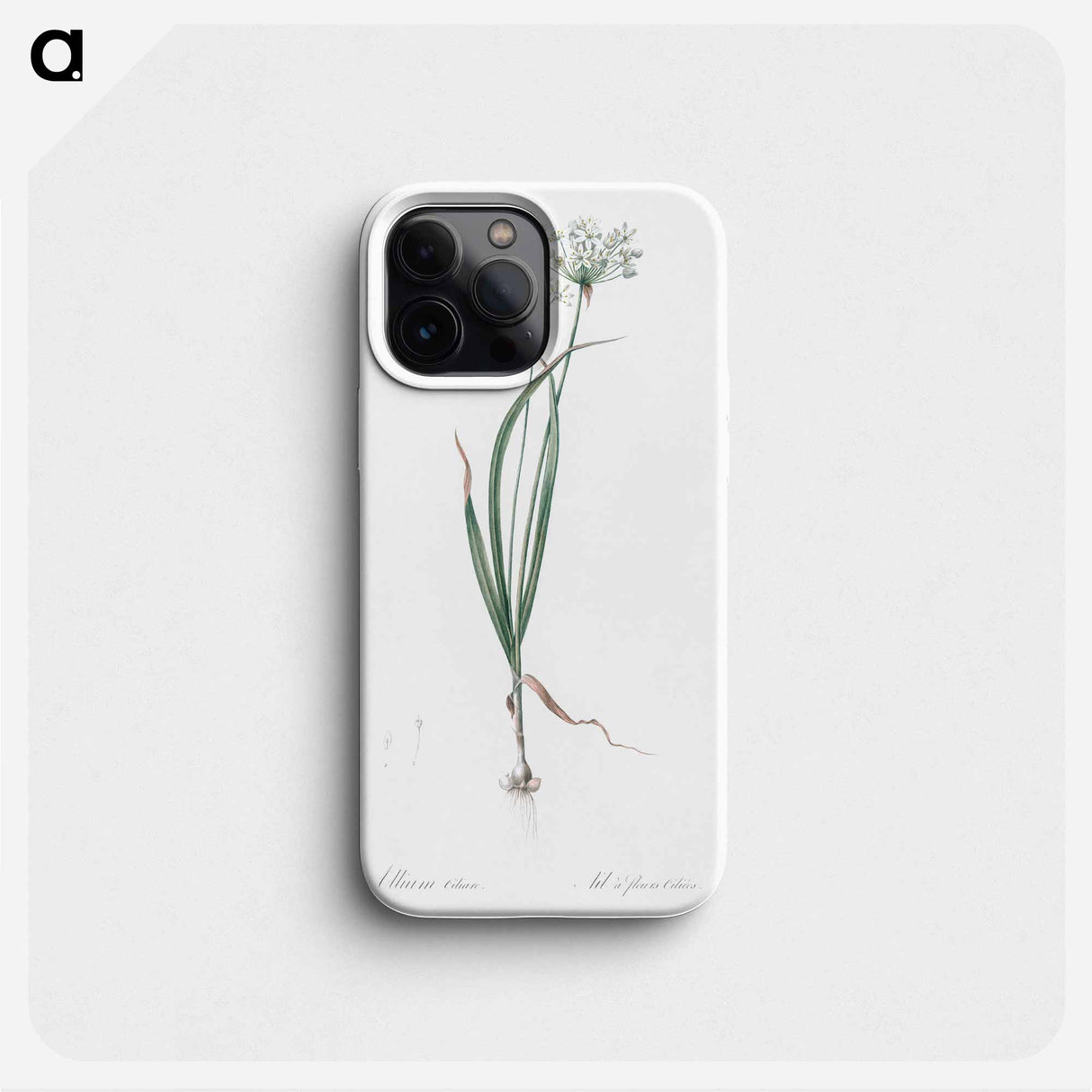 Hairy garlic illustration - ピエール ジョゼフ ルドゥーテ Phone Case.