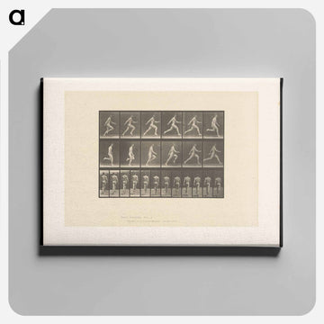 Sprinting Man
 - エドワード マイブリッジ Canvas.