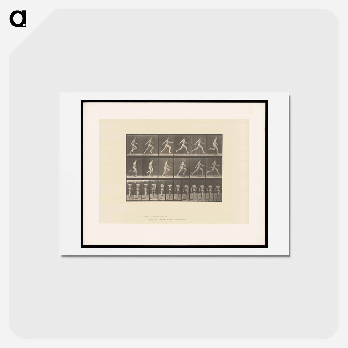 アートポストカード-Sprinting Man
 - エドワード マイブリッジ Postcard.