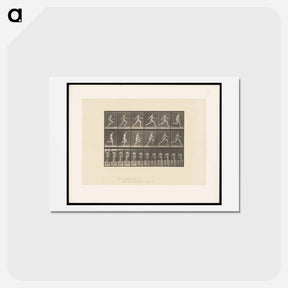 アートポストカード-Sprinting Man
 - エドワード マイブリッジ Postcard.