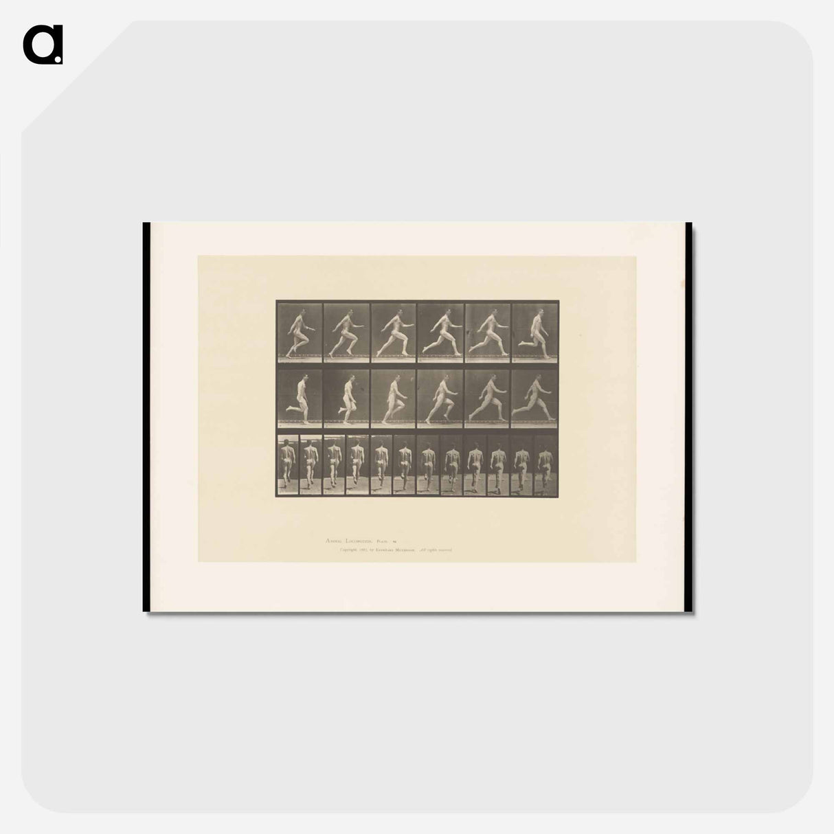 アートポストカード-Sprinting Man
 - エドワード マイブリッジ Postcard.