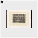 アートポストカード-Sprinting Man
 - エドワード マイブリッジ Postcard.