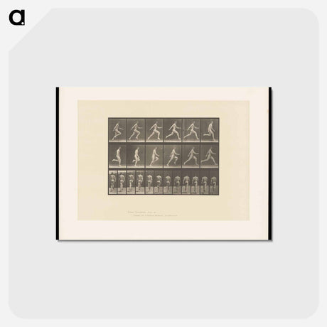 アートポストカード-Sprinting Man
 - エドワード マイブリッジ Postcard.