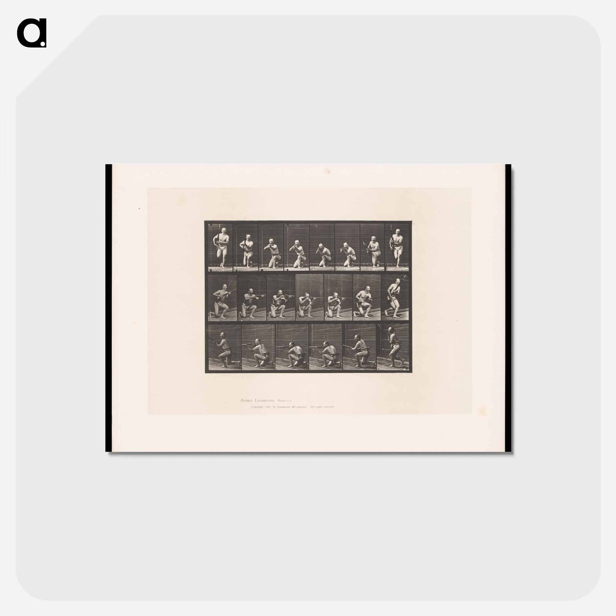アートポストカード-Man Firing a Gun
 - エドワード マイブリッジ Postcard.
