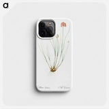 Allium globosum illustration - ピエール ジョゼフ ルドゥーテ Phone Case.