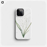 Pale vanilla lily illustration - ピエール ジョゼフ ルドゥーテ Phone Case.