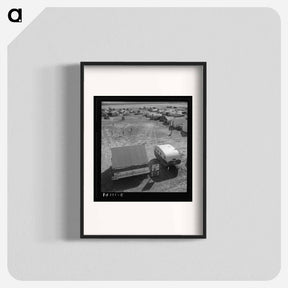 アートポスター-Farm Security Administration (FSA) migratory labor camp - ドロテア ラング Poster.
