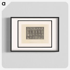 アートポスター-Wrestlers and Boxers
 - エドワード マイブリッジ Poster.