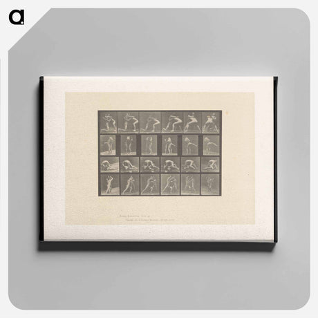 アートパネル-Wrestlers and Boxers
 - エドワード マイブリッジ Canvas.