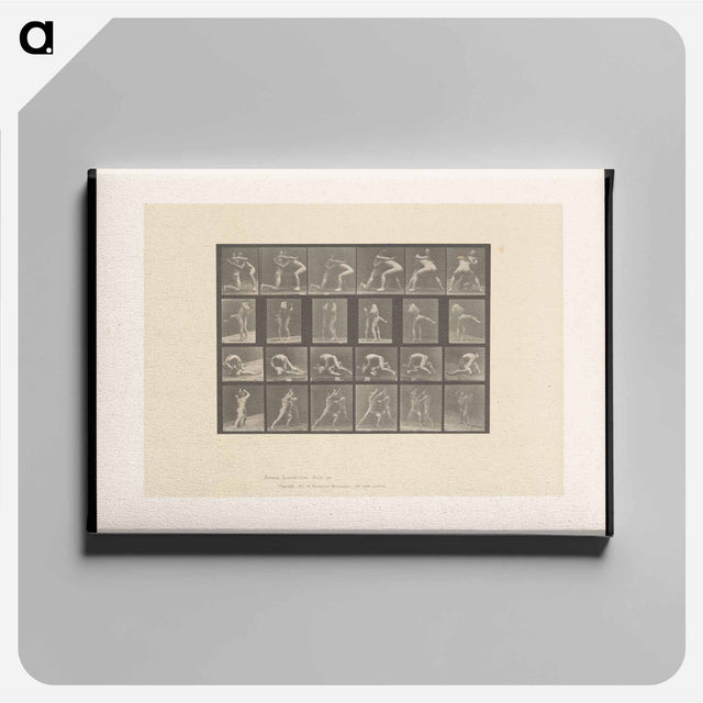 アートパネル-Wrestlers and Boxers
 - エドワード マイブリッジ Canvas.