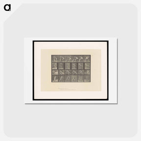 アートポストカード-Wrestlers and Boxers
 - エドワード マイブリッジ Postcard.