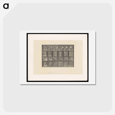 アートポストカード-Wrestlers and Boxers
 - エドワード マイブリッジ Postcard.