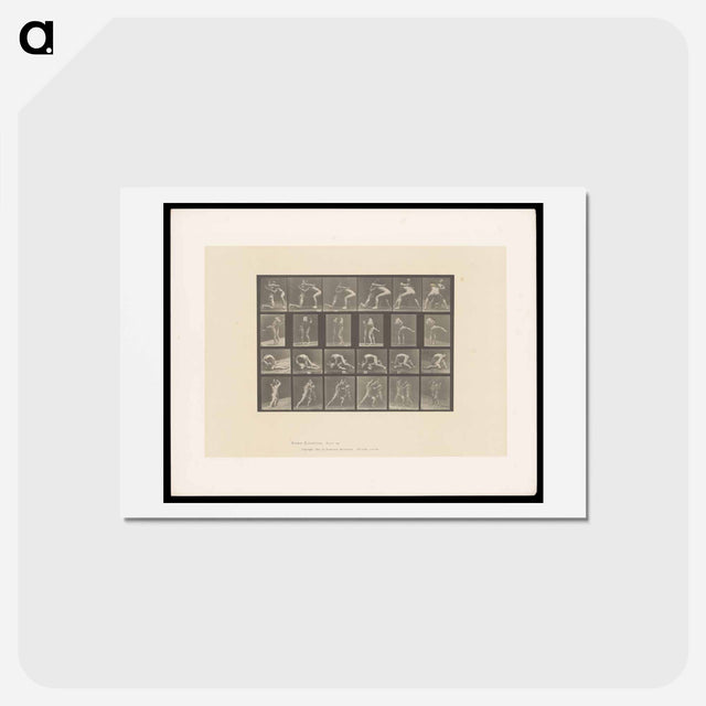 アートポストカード-Wrestlers and Boxers
 - エドワード マイブリッジ Postcard.