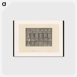 アートポストカード-Wrestlers and Boxers
 - エドワード マイブリッジ Postcard.