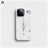 Galaxia ixiaeflora illustration - ピエール ジョゼフ ルドゥーテ Phone Case.