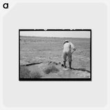 アートポストカード-Irrigating Fields
 - ラッセル リー Postcard.