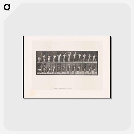 アートポストカード-Weightlifting
 - エドワード マイブリッジ Postcard.