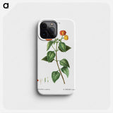 Tickberry (Lantana aculeata) - ピエール ジョゼフ ルドゥーテ Phone Case.