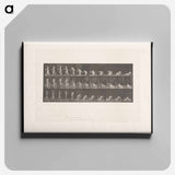アートパネル-The Departure
 - エドワード マイブリッジ Canvas.