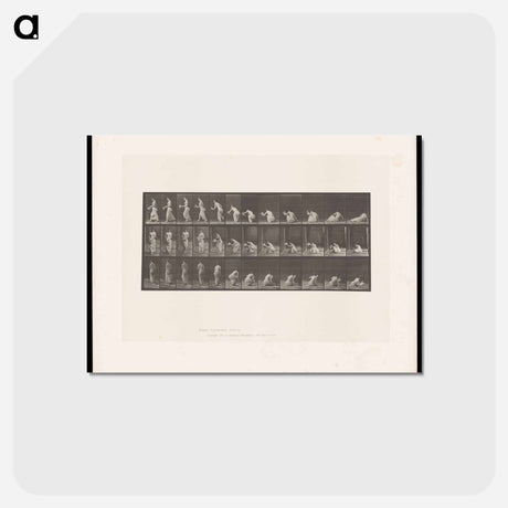 アートポストカード-The Departure
 - エドワード マイブリッジ Postcard.