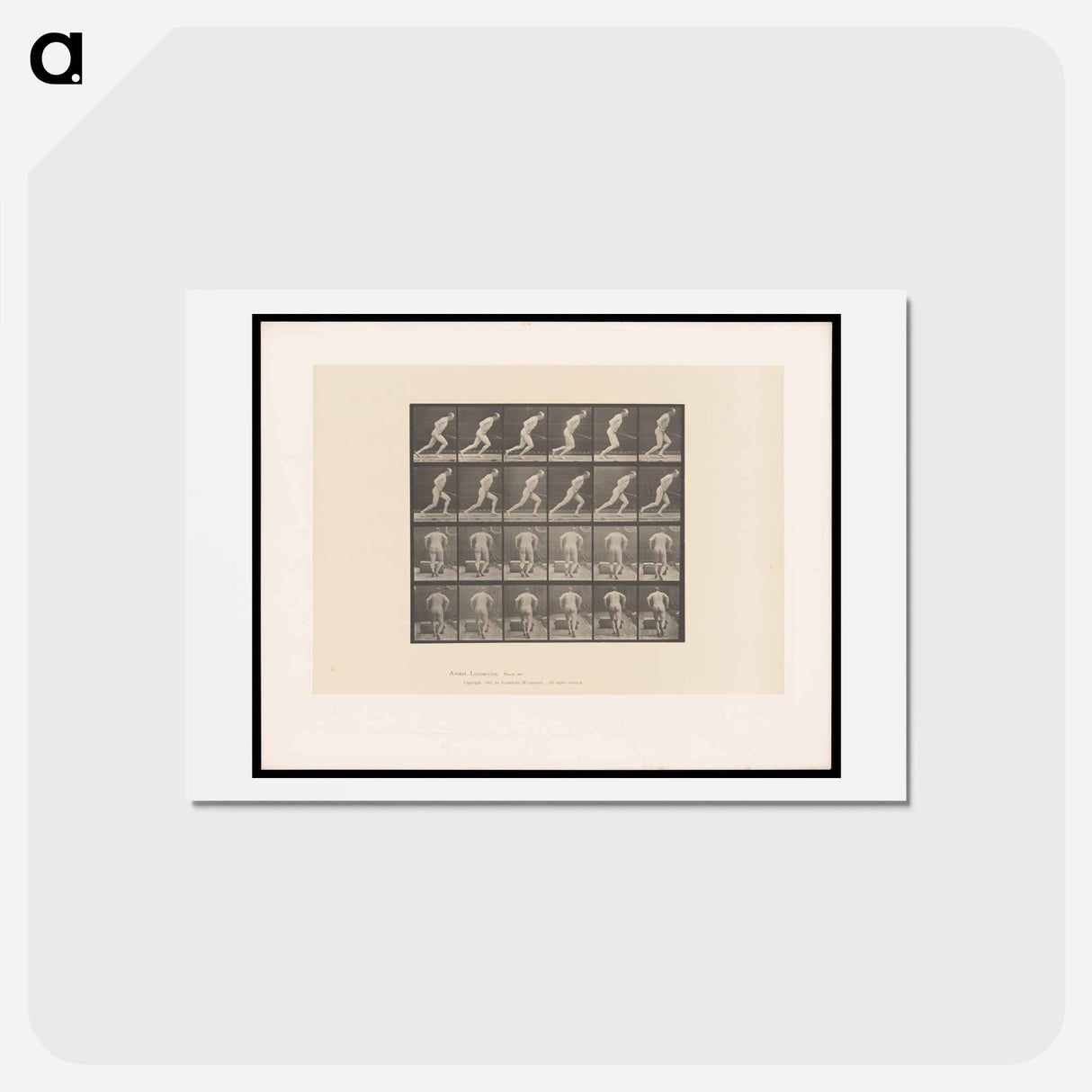 アートポストカード-Man Pushing a Roller
 - エドワード マイブリッジ Postcard.