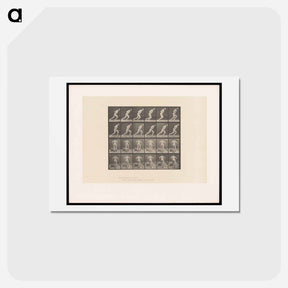 アートポストカード-Man Pushing a Roller
 - エドワード マイブリッジ Postcard.